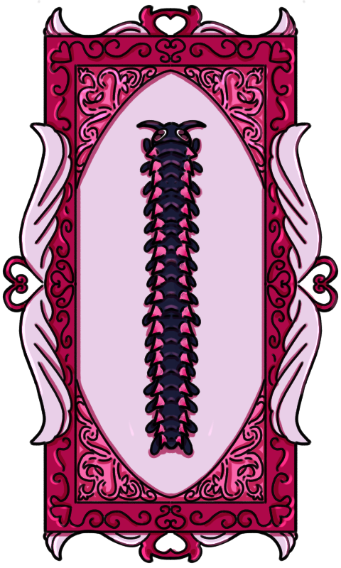 pink dragon millipede (desmoxytes purpurosea)